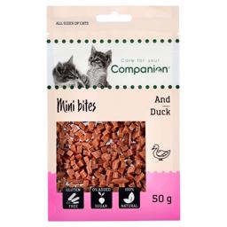 Companion Cat behandlar Mini Bites med Duck 50g - DATUMVAROR